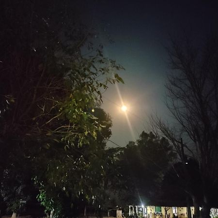Pousada O Canto Da Seriema Nobres Exteriör bild